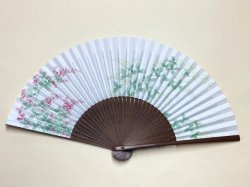 画像1: vivid　萩