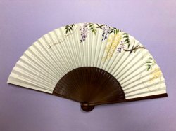 画像1: vivid 　藤