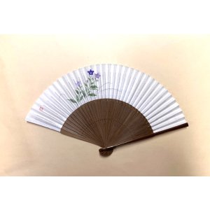 画像: ＜琳風扇＞　手描き　桔梗図